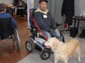 un visitatore su sedia a rotelle, un cane